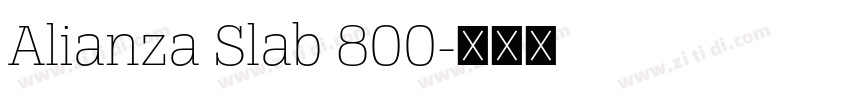 Alianza Slab 800字体转换